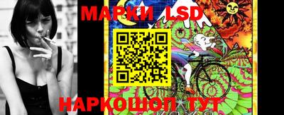 Альфа ПВП Обнинск