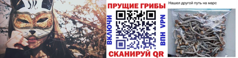 мега tor  Псков  Псилоцибиновые грибы Magic Shrooms  закладки 