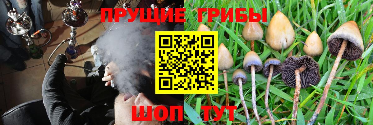 Псилоцибиновые грибы Magic Shrooms  Вход с VPN  Псилоцибиновые грибы GOLDEN TEACHER  Псков 