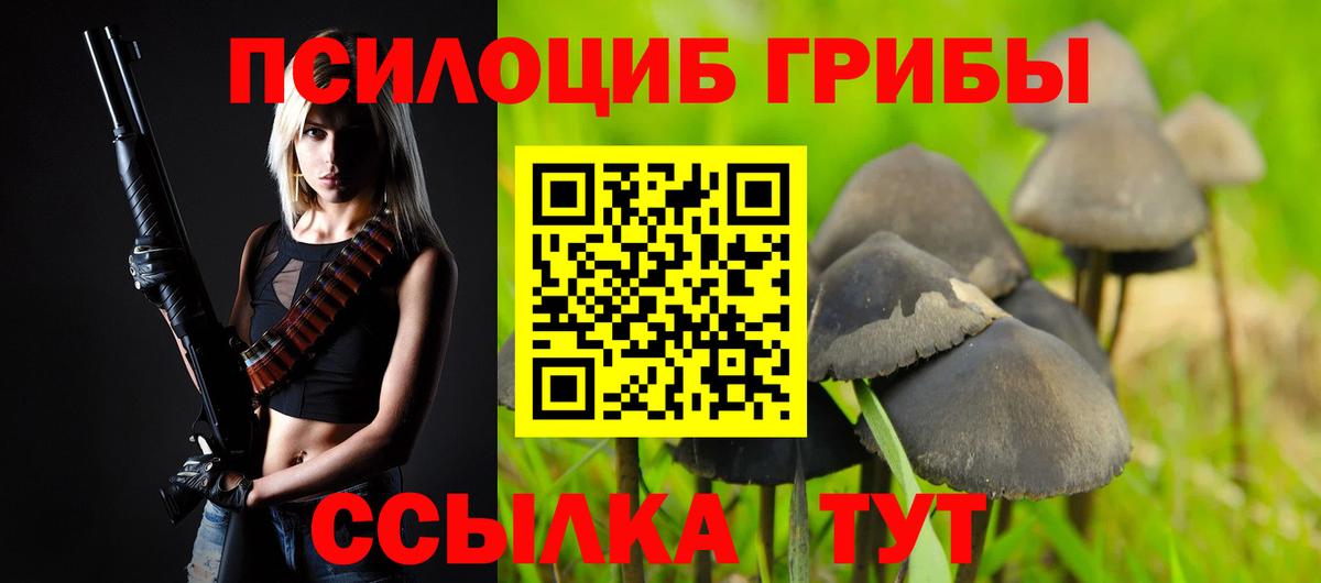 Галлюциногенные грибы GOLDEN TEACHER Псков