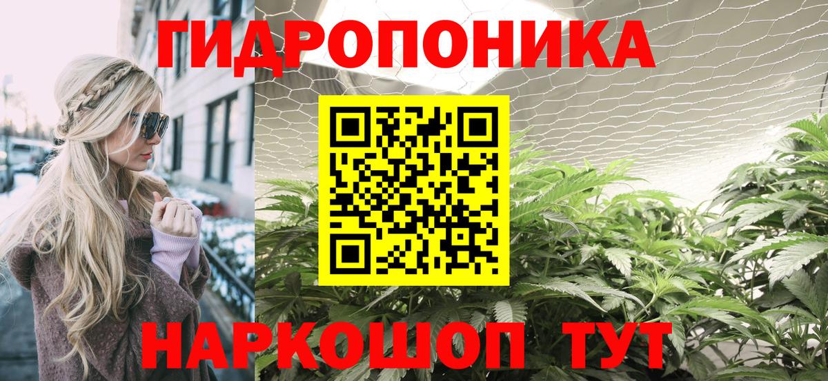 Бошки Шишки сатива  Конопля гибрид  Псков  Канабис THC 21%  Вход с VPN 